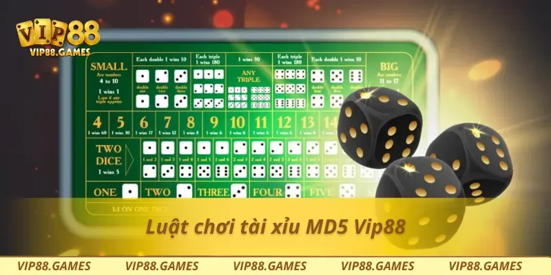 Luật chơi tài xỉu MD5 Vip88
